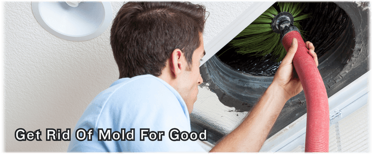 Air Duct Mold Removal in Houston TX